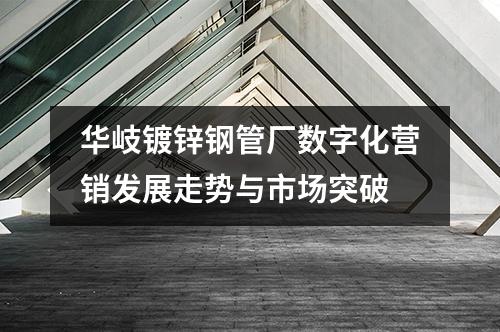 華岐鍍鋅鋼管廠數字化營銷發(fā)展走勢與市場突破